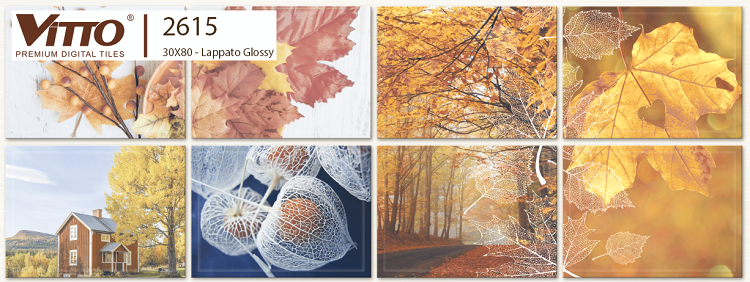Gạch ốp tường viên điểm Vitto 30x80cm 2615
